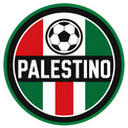Skin Palestino